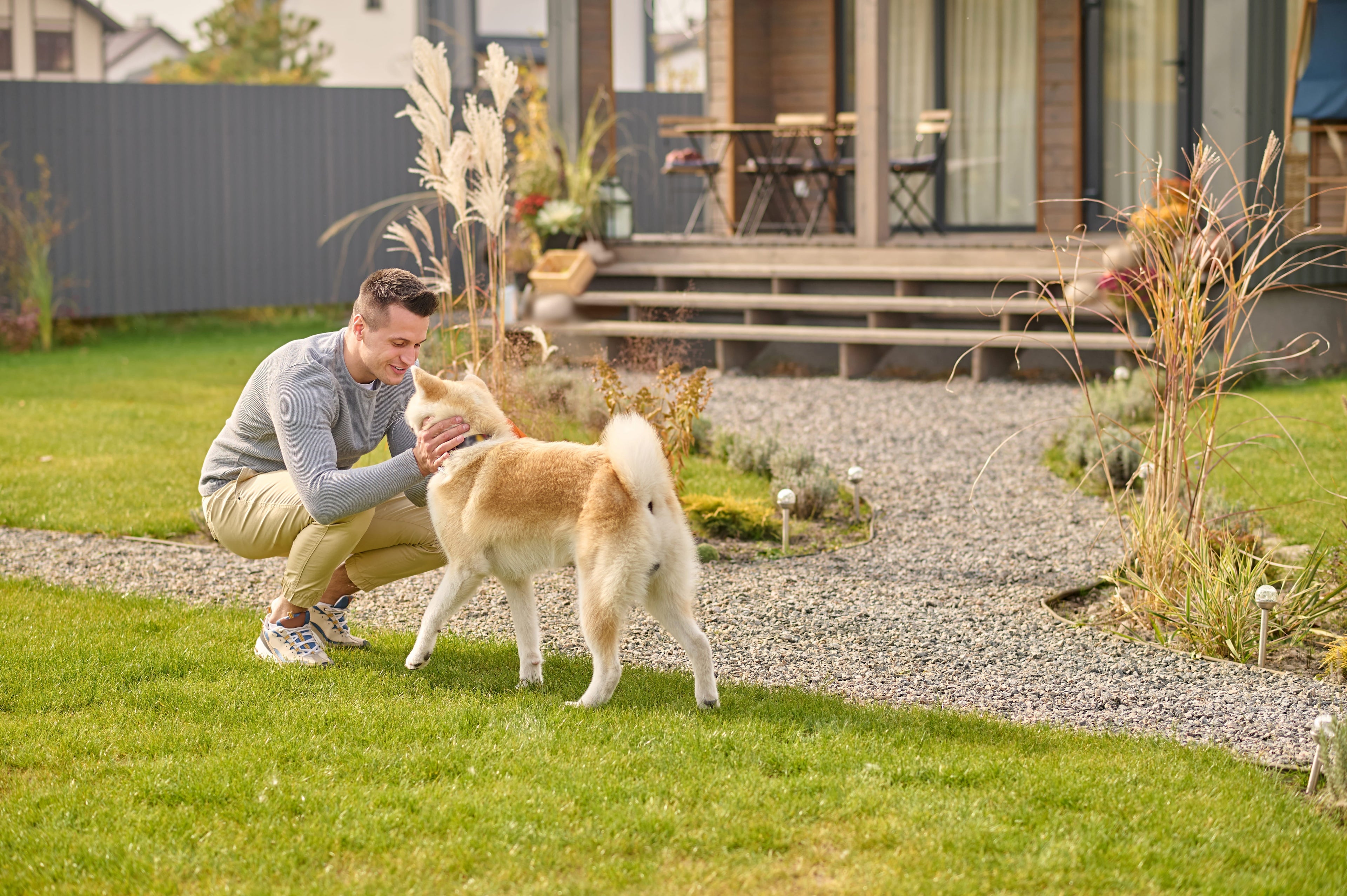 How to Get Animal Urine Smells Out of Your Yard